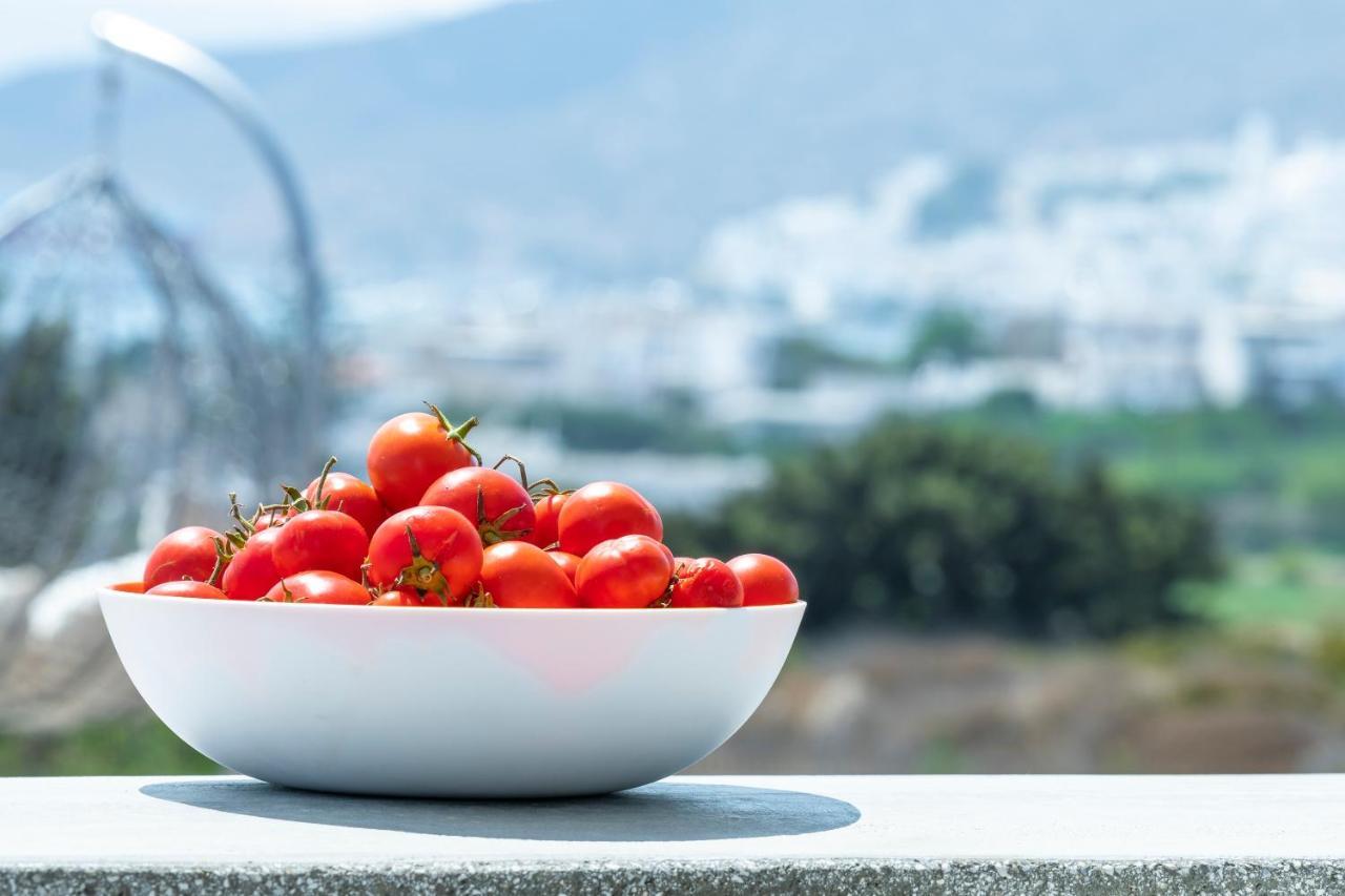 Aelia Suites Adamantas  Buitenkant foto